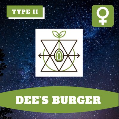 Dee's Burger (F) - 12 Seeds