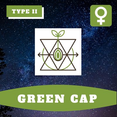 Green Cap (F) - 12 Seeds