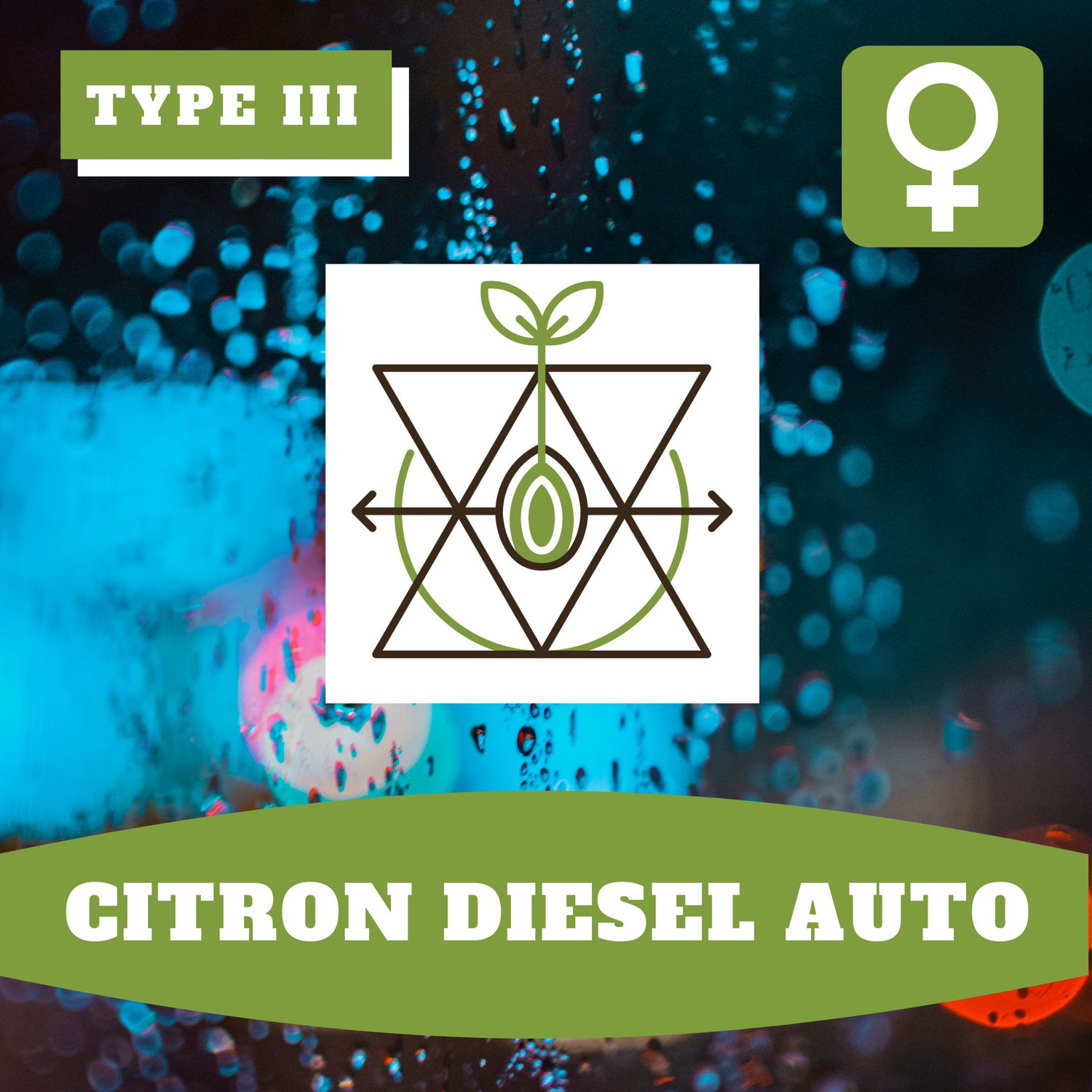 Citron Diesel Auto (F) Seeds Citron Diesel Auto (F) Seeds