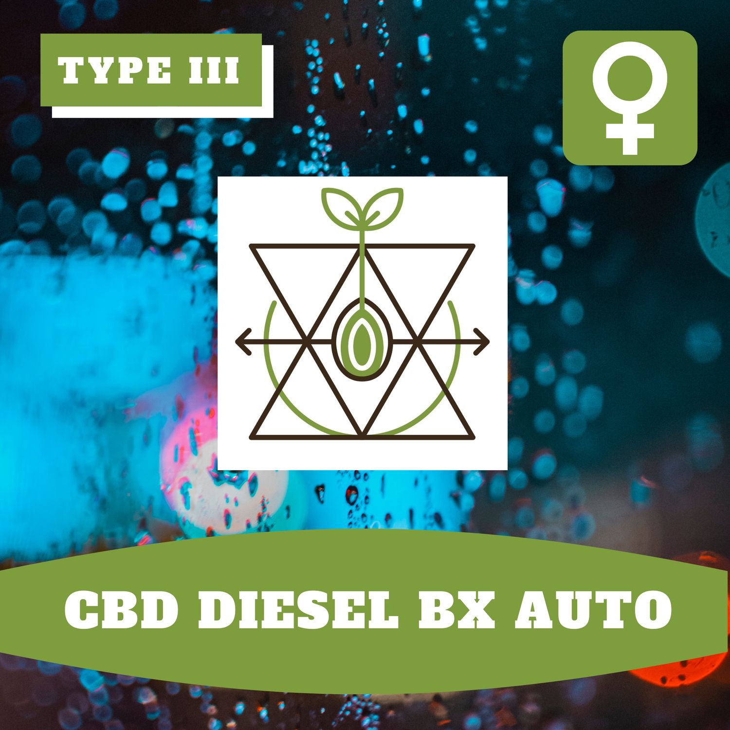 CBD Diesel Bx Auto (F) Seeds