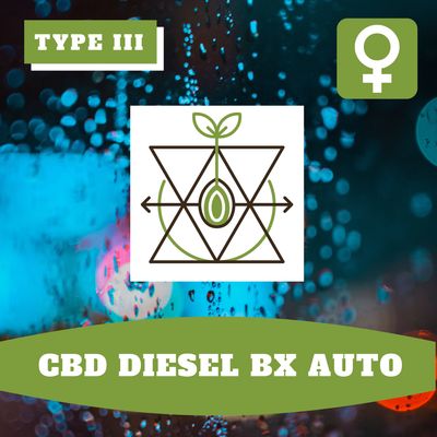 CBD Diesel Bx Auto (F) Seeds