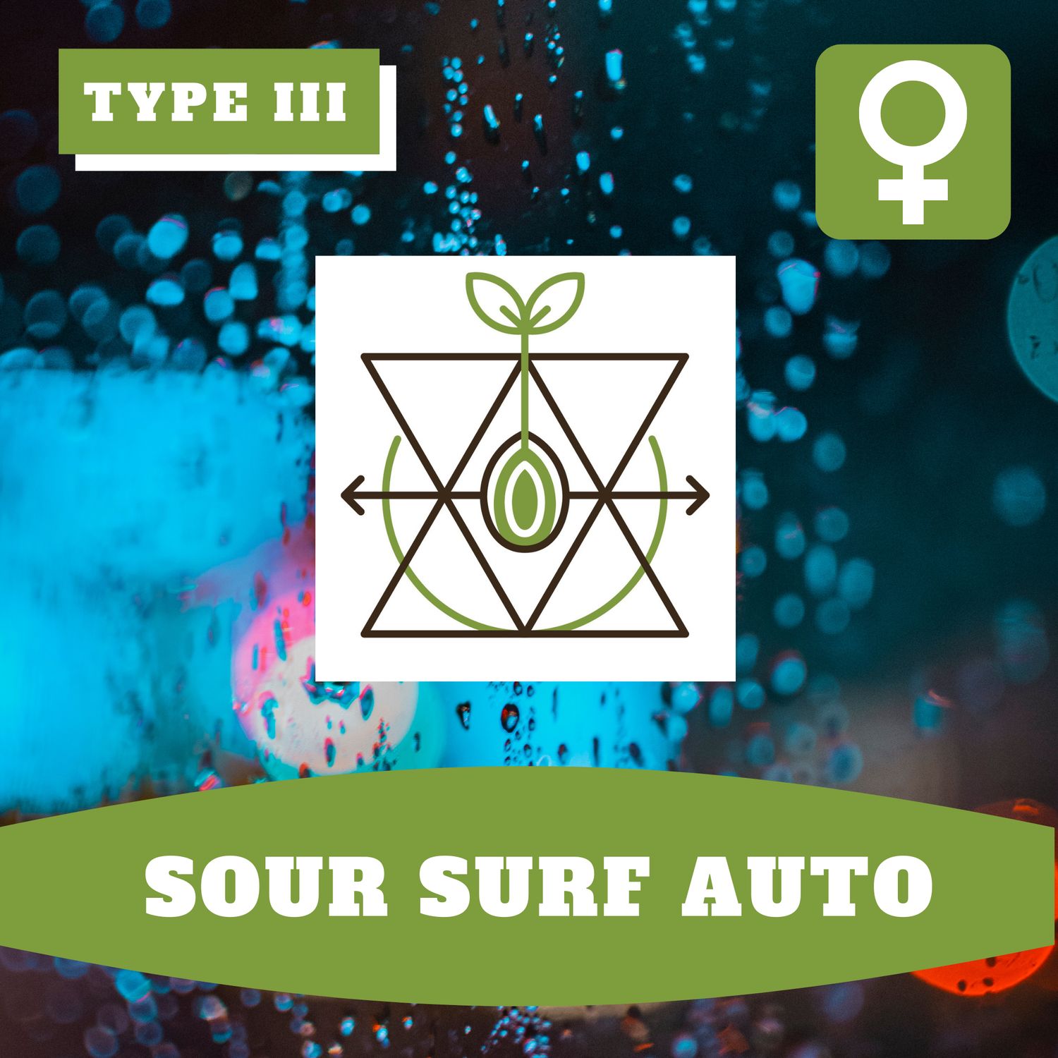 Sour Surf Auto (F) Seeds