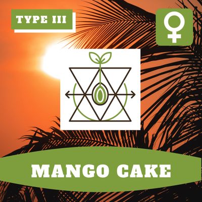 Mango Cake (F) Seeds