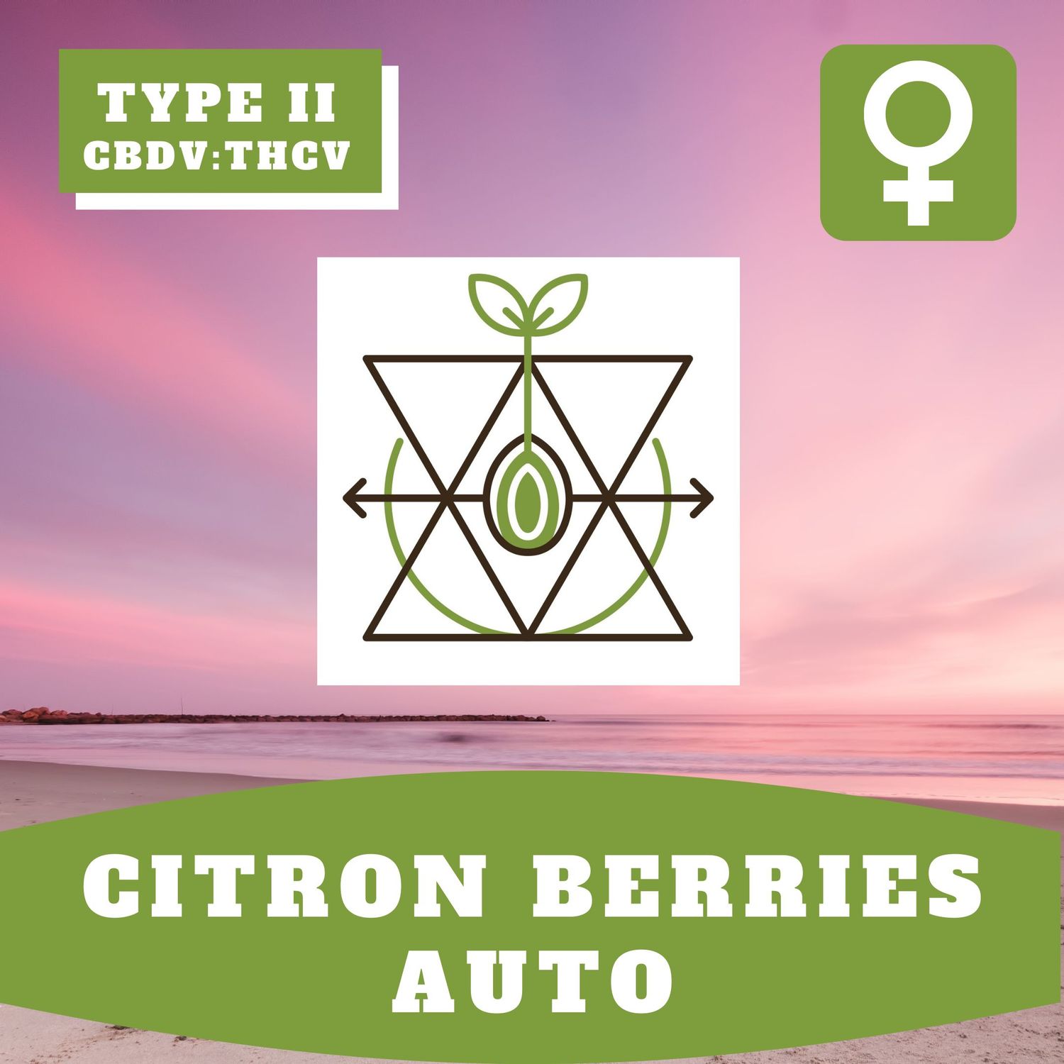 Citron Berries Auto (F) - 12 Seeds