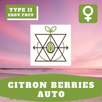 Citron Berries Auto (F) - 12 Seeds