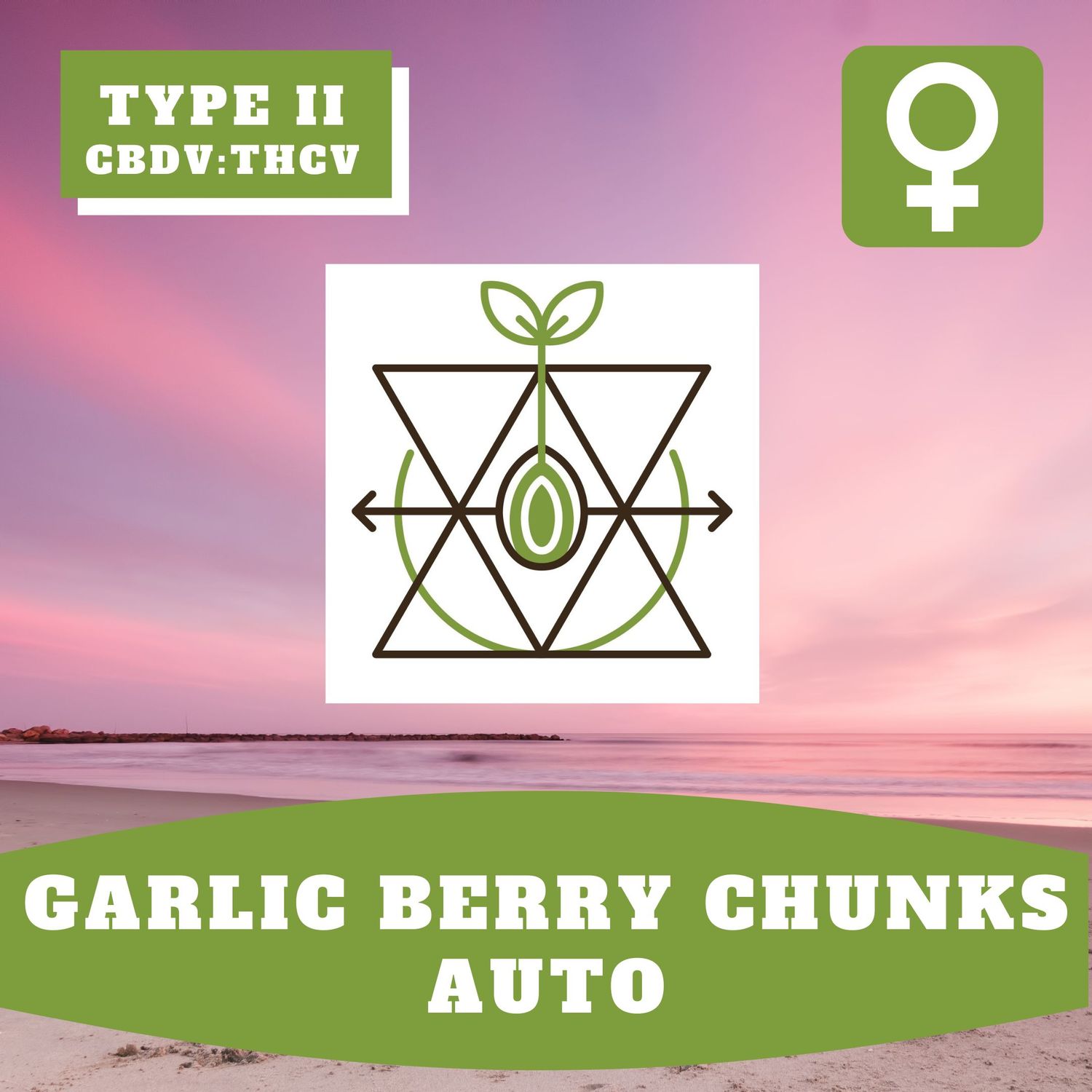 Garlic Berry Chunks Auto (F) - 12 Seeds Garlic Berry Chunks Auto (F) - 12 Seeds