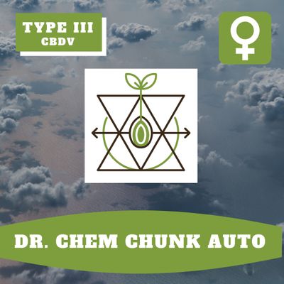 Dr. Chem Chunk Auto (F) - 12 Seeds