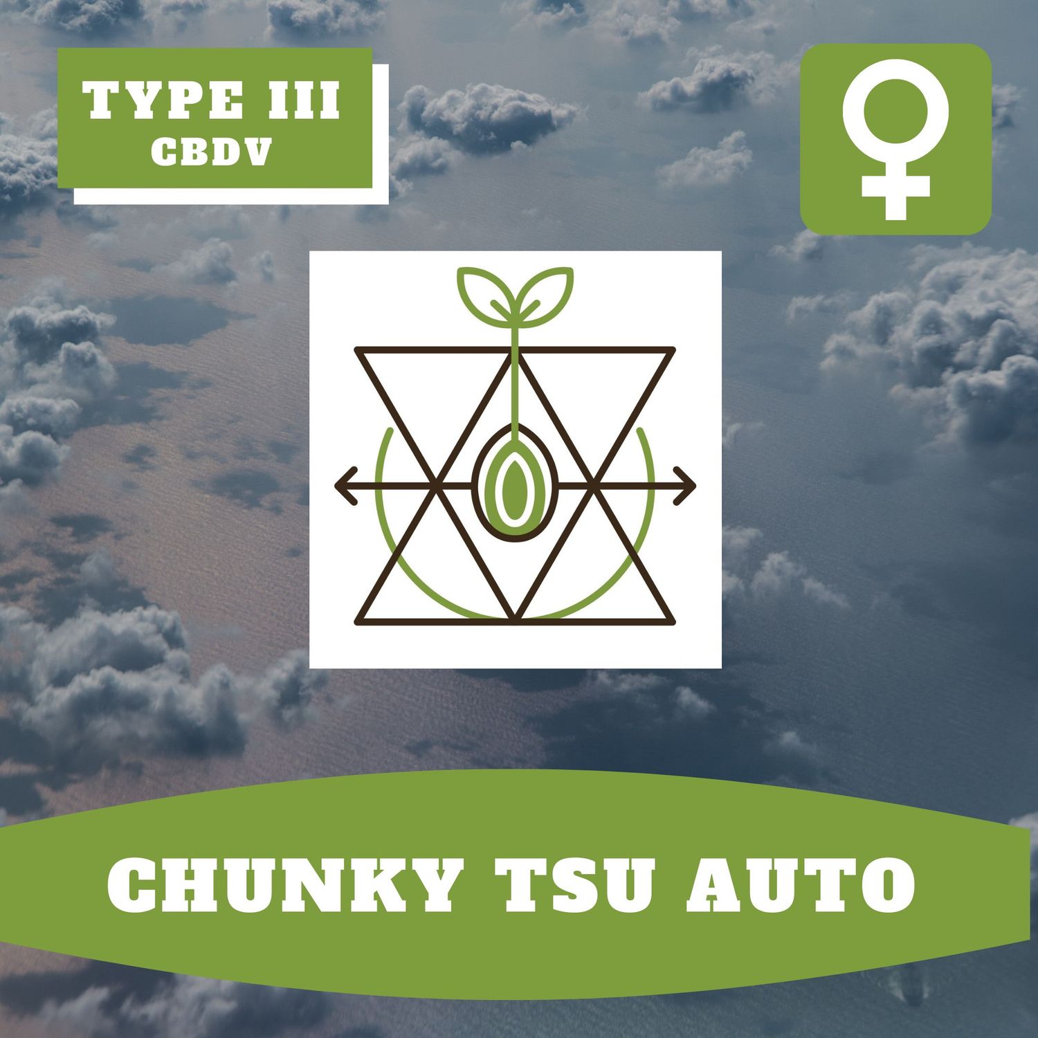Chunky Tsu Auto (F) - 12 Seeds