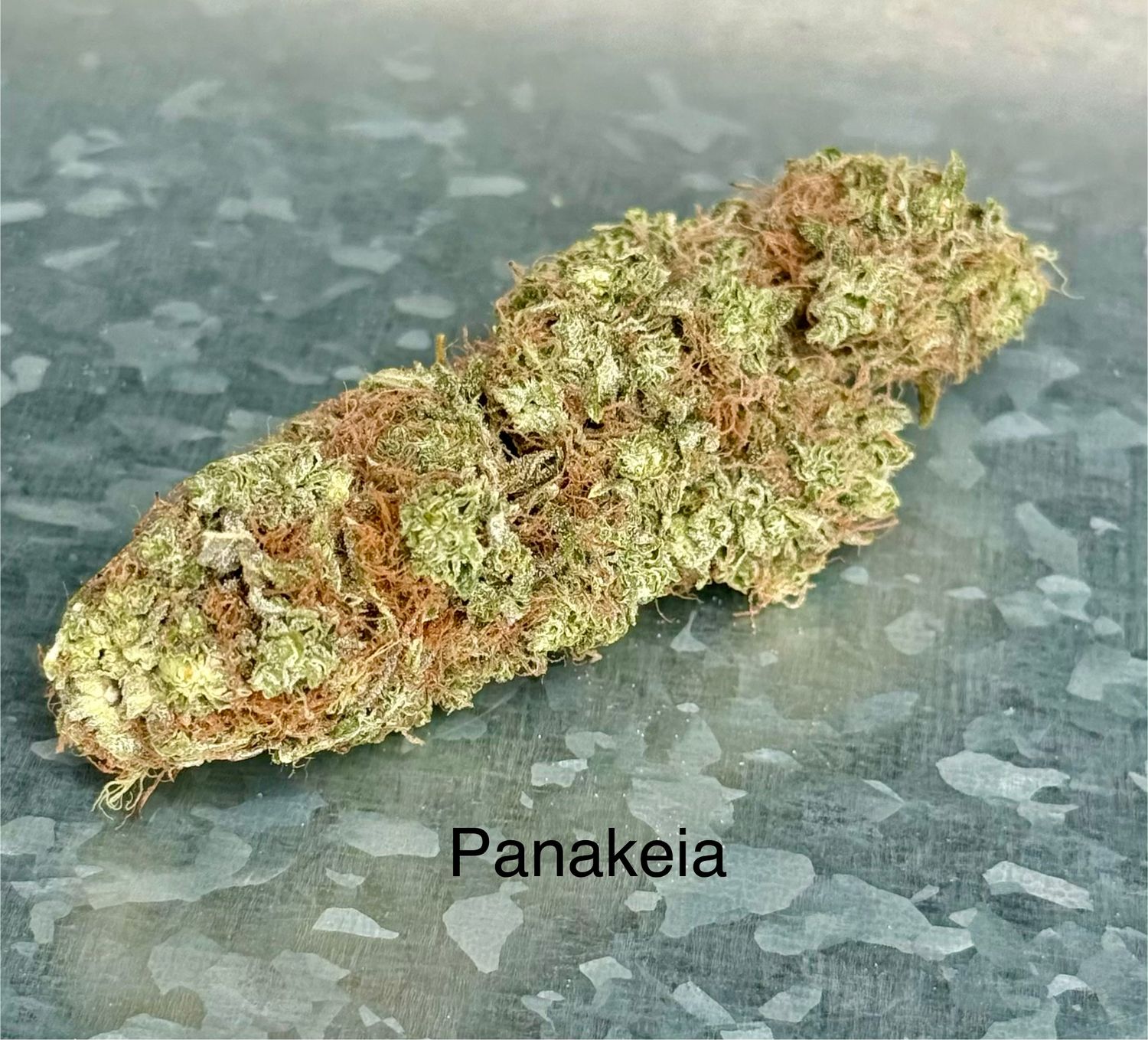 Panakeia - 1/8th Panakeia - 1/8th