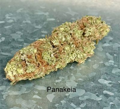 Panakeia - 1/8th Panakeia - 1/8th