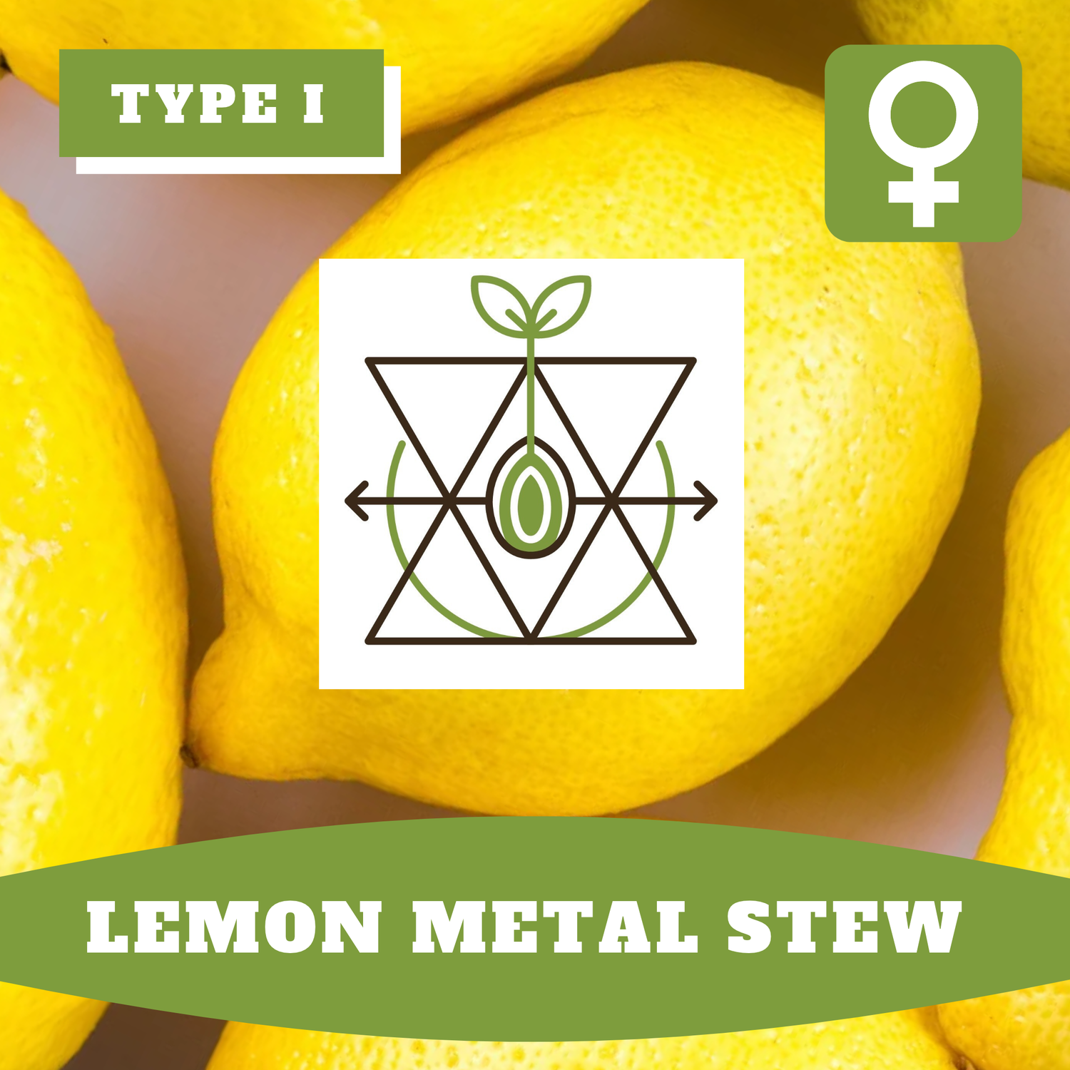 Lemon Metal Stew (F) - 12 seeds Lemon Metal Stew (F) - 12 seeds