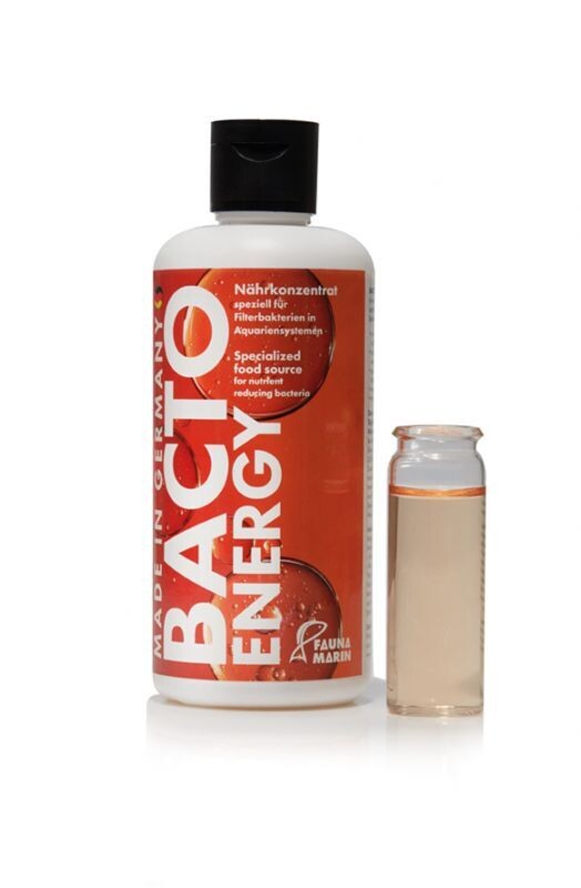 Fauna Marin Bacto Energy 100ml