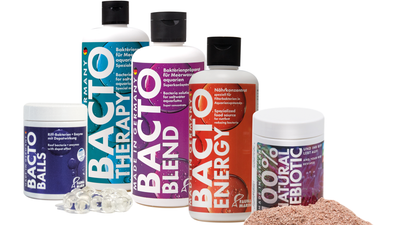 Fauna Marin Bacteria Products