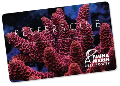 Fauna Marin Reefersclub
