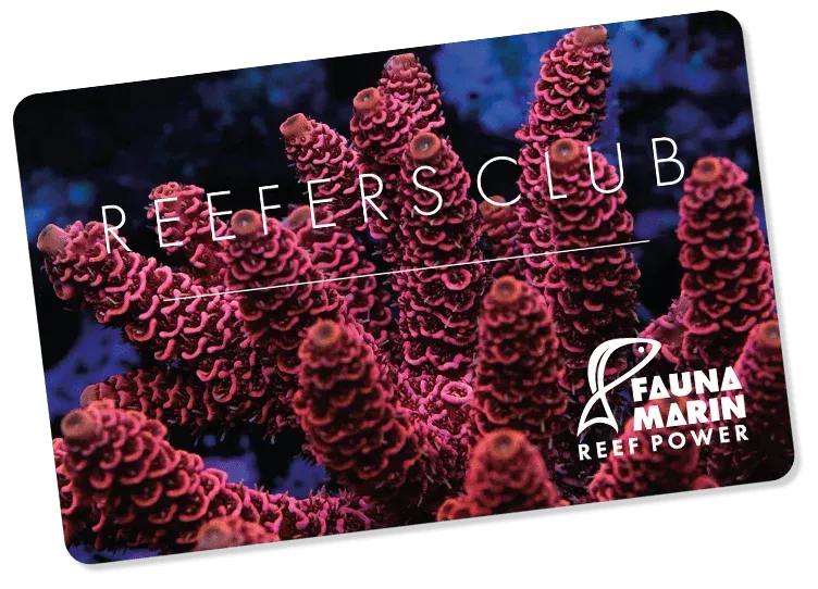 Fauna Marin Reefers club membership (12 months)