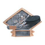 6&quot; x 4 1/2&quot; Hockey Diamond Plate Resin (Tags Included)