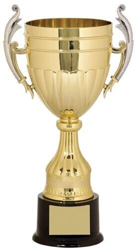 14 3/4&quot; Gold/Silver Plastic Completed Cup Trophy