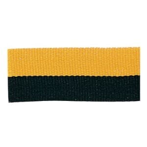 7/8&quot; Black/Gold Neck Ribbon with Snap Clip
