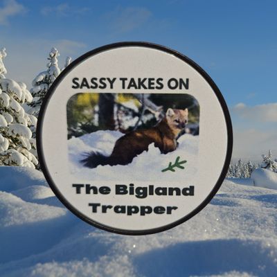 Sassy Takes on The Bigland Trapper Sock Poppet for any device