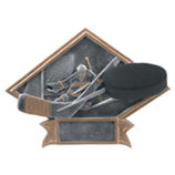 8 1/2" x 6" Hockey Diamond Plate Resin (Tags Included)