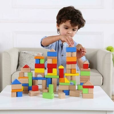 Wooden Building Block Set: Block Set - 50 Pieces
