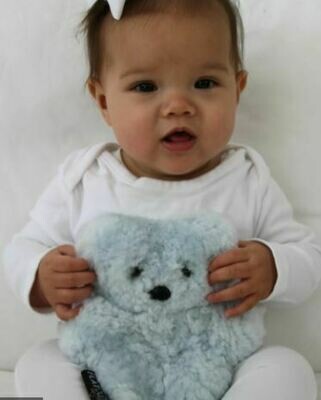 Baby Teddy Bear - Bluey