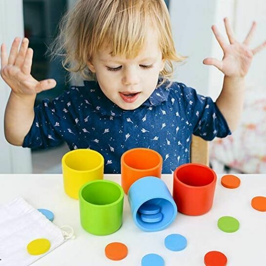 Montessori Wooden Color Matching