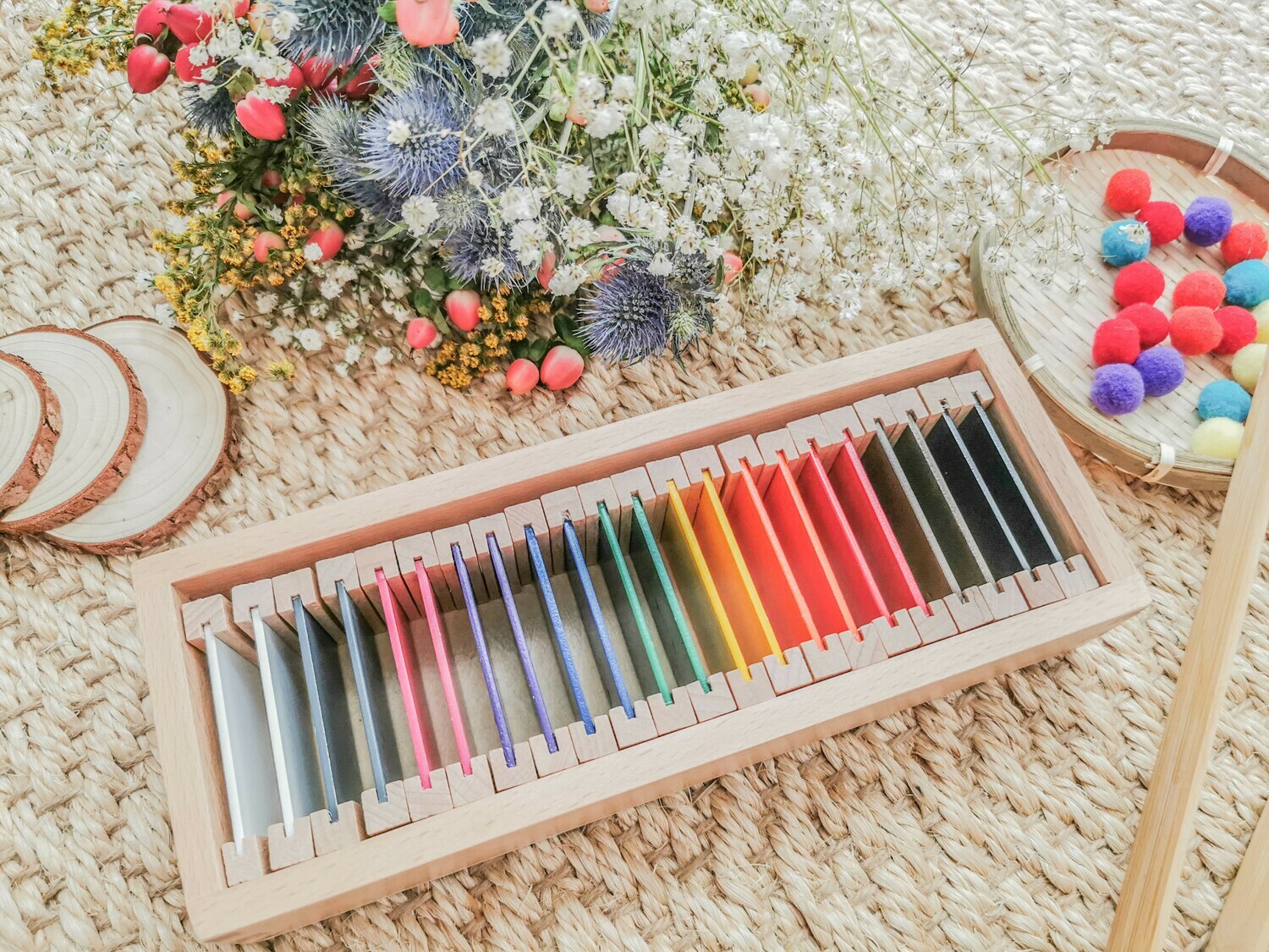 Montessori Sensorial Learning Color Box Set