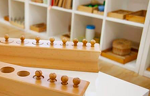 Montessori Wooden Cylinder Socket - Family Set