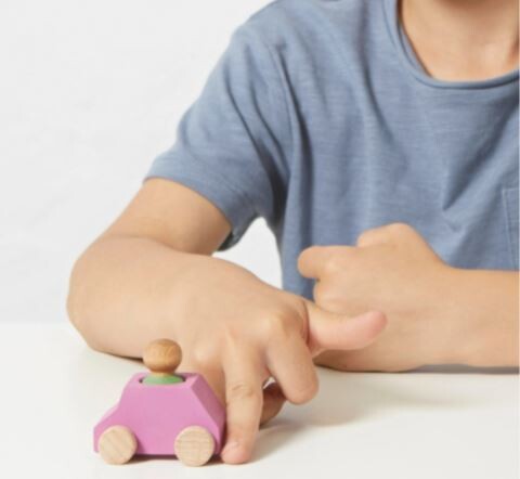 Pink Wooden Car with Green Figure