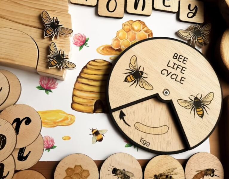 Wooden Education Montessori Cycle - Bee