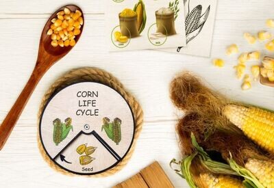 Wooden Education Montessori Cycle - Corn