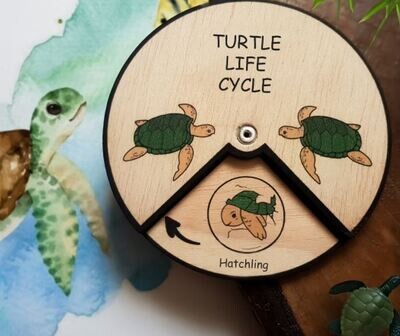 Wooden Education Montessori Cycle - Turtle