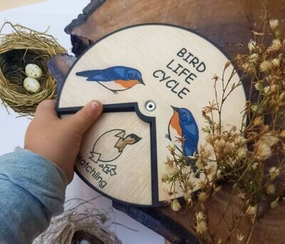 Wooden Education Montessori Cycle - Bird