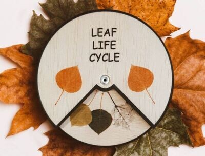 Wooden Education Montessori Cycle - Leaf
