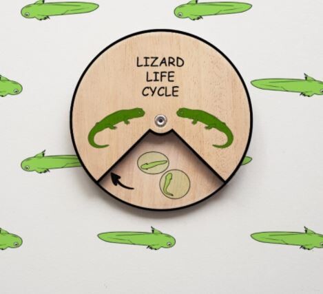 Wooden Education Montessori Cycle - Lizard