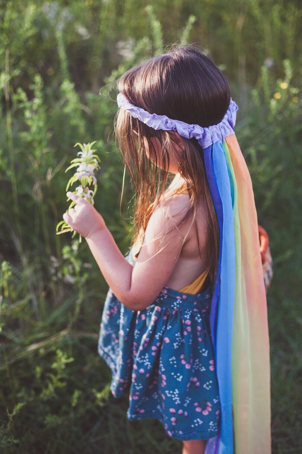 Veils Veils