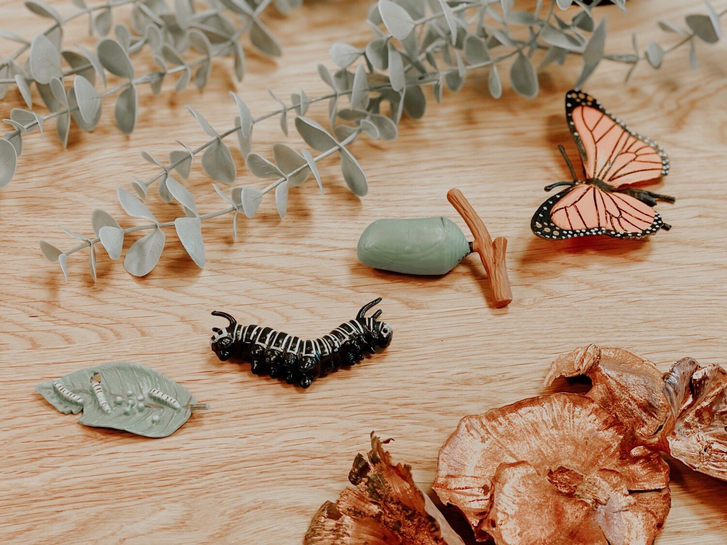 Life Cycle Figures of Butterfly Animal Growth - 4 Piece Set