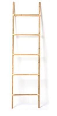 Big Ladder