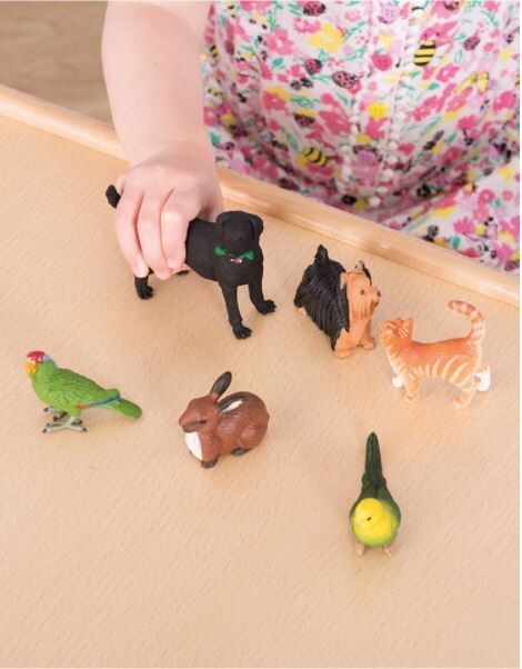 Pet Animal Set