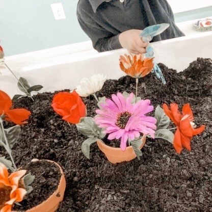 Organic Soil