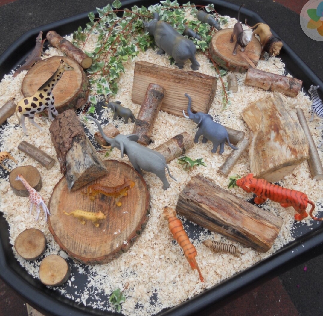 Natural Wood Slices Small - 12 Pieces