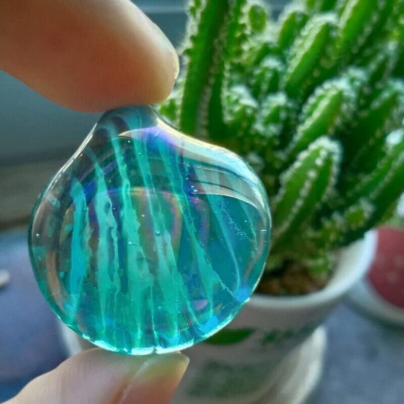 Blue Sea Shells-Pack of 35