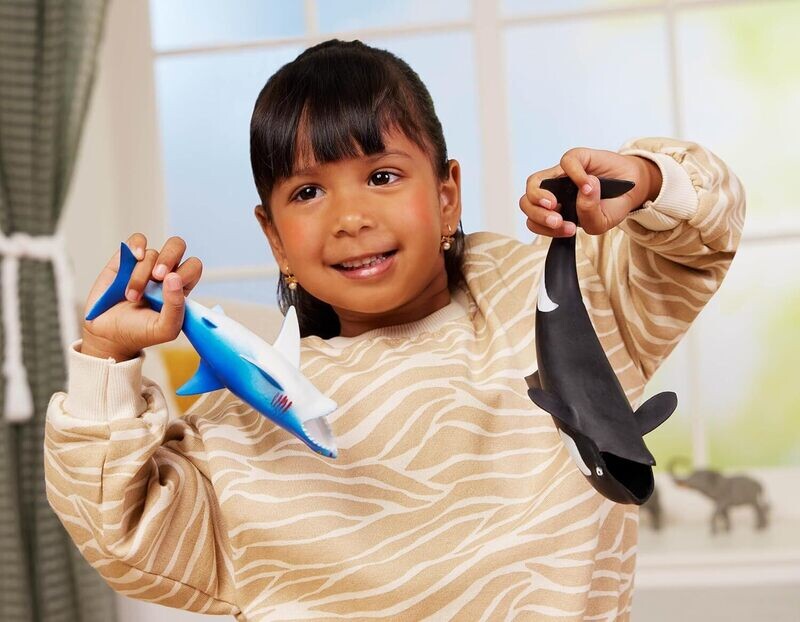 Ocean Wonders Set-Pack of 26