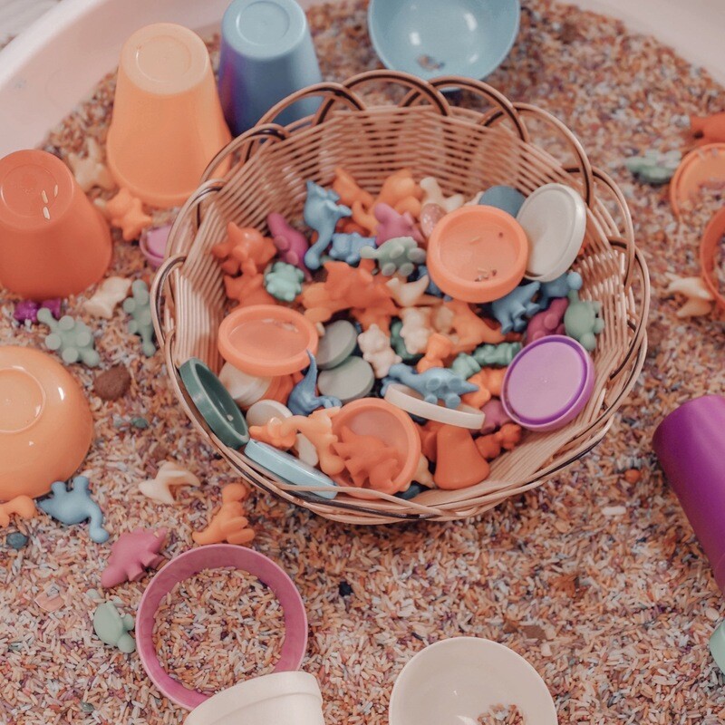 Sensory Sorting Set