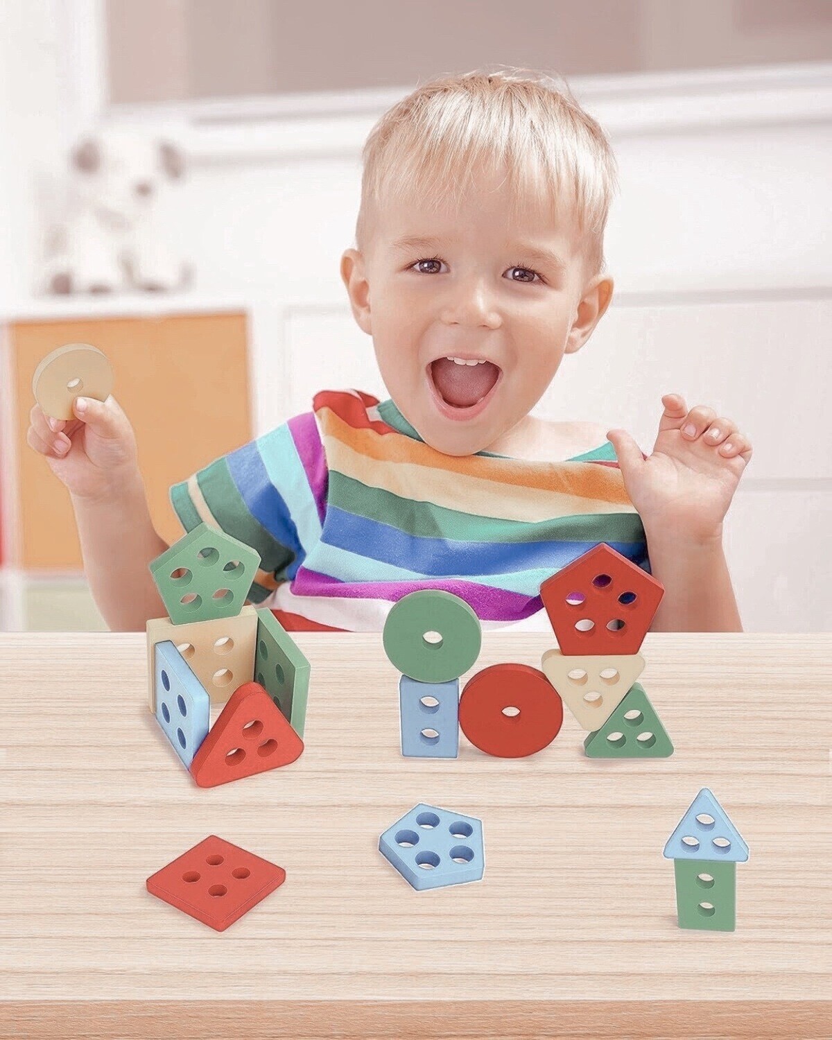 Wooden Montessori Sorting