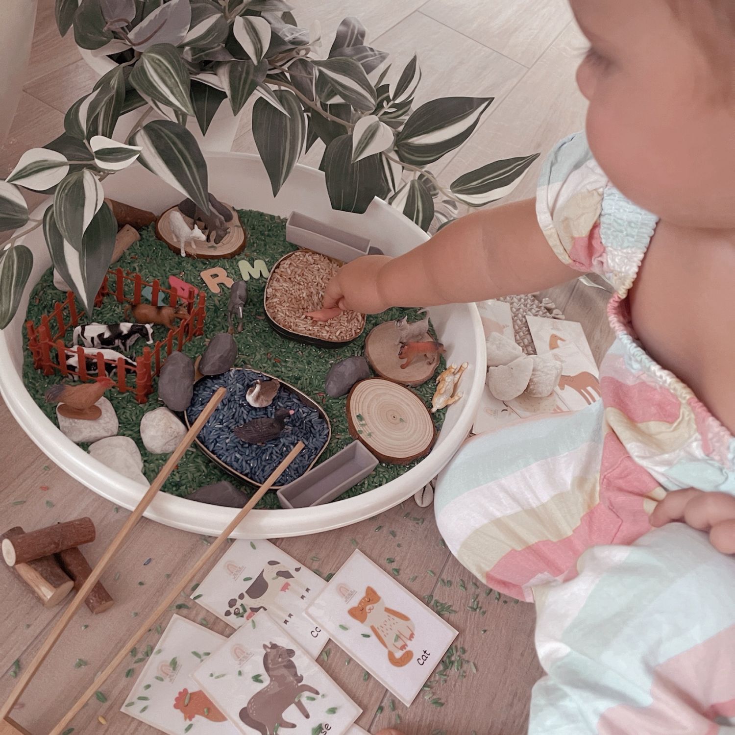 Farm - Sensory Tray &amp; Set - Rice Base