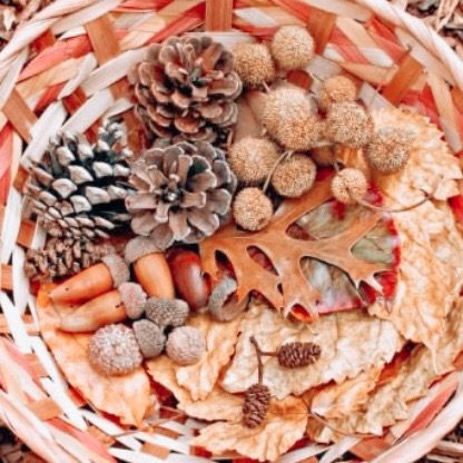 Pine Cone &amp; Nature Set - 38 Pieces