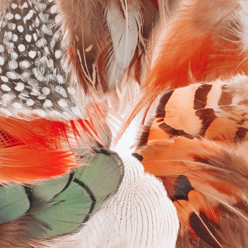 Fabulous Feather Assortment - 8 Styles (160Pcs)