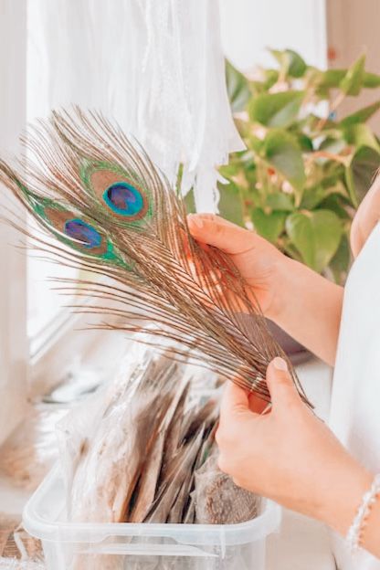 Peacock Feathers (20Pcs)